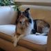 Margaret Vickers - Facebook