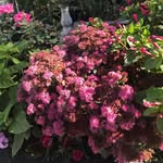Margie Vincent de Paul - @vincentdepaulmargie - Instagram