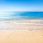 Margie Wallace - @wallacemargie1606 - Instagram