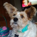 Margie Watson - @margie.watson.319 - Instagram