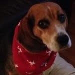 Margie Watson - @margiewatson0121 - Instagram