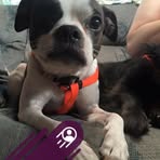 Margie Watson - Facebook