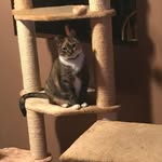 Marge Weeks - @margeweeks - Instagram