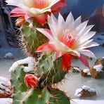 Margie Weeks - Facebook