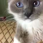 Margie Weeks - Facebook