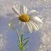 Margit Fodor - @margit.fodor05 - TikTok