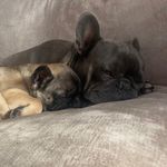 Blue, Luna  and Margot Berry - @blue_luna_margot_berry - Instagram