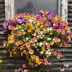 Margo Biggs - Facebook