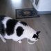 Margo Blankert - Facebook