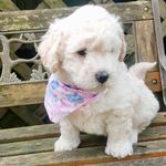 ♡ margo blue ♡ - @margobluemydood - Instagram
