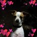 Margo Bock - Facebook