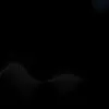 User134556 - @margobonner8921 - TikTok