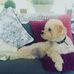 Margot Bowden - Facebook