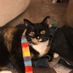 Margo Breen - @margo.breen.7 - Instagram