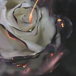 Margo Brewer - @itz_me_margo - Instagram