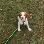 Margo the Brit - @margothebrittany - Instagram