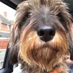 Margoat - @margoatttbuchanan - Instagram