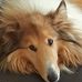 Margo Burke - Facebook