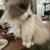 margot - @margot.burke - TikTok
