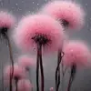 margo.byrd1 - @margo.byrd2 - TikTok