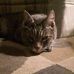 Margo Cameron - Facebook