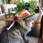 Margo Carey Nowokunski - @margonowokunski - Instagram
