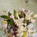 Margo Carpenter - Facebook