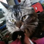 Margo Carpenter - @miss.margo.meowmeow - Instagram