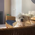 Margot Carr - Facebook
