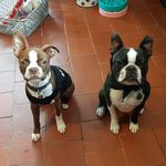 casper + margot - @casper_and_margot - Instagram