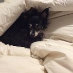 Casper and Margot's Diary - @casperandmargot - Instagram