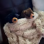 Margo Castillo - @adventure_bears_ - Instagram