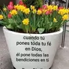 margocastillo875 - @margocastillo875 - TikTok