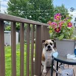Margo Chase - @margo.chase.58 - Instagram