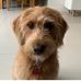 Margo Chase - Facebook