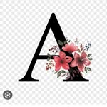 Aide Margot Chavez Torres - @aidemargotchavez - Instagram