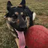 Margo Colebaugh - @margo.colebaugh - TikTok
