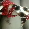 margo costa - @margocosta027 - TikTok