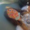 margot.l.cote - @margot.l.cote - TikTok
