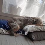 Margeritta Curry - @margocurry23 - Instagram