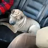 Margo Curry - @margo.curry4 - TikTok
