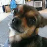 Margo Curry - @user426339656 - TikTok