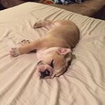 Dixon.margo.duke - @dixon_duke_margo - Instagram