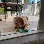 DUDLEY! - @dudley.margo9 - Instagram