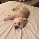 Dixon.margo.duke - @dixon_duke_margo - Instagram