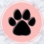 Mârgo_duke_pretinha_nega♥️🐶 - @dogs05.11 - Instagram