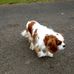 Margo Dunlop - Facebook