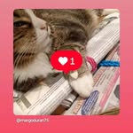 Margo Duran - @margoduran75 - Instagram