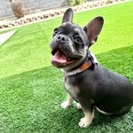 Margo Duran - @margo.lafrenchie - Instagram