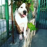 MargoFalcone...Napoli - @margofalcone - Instagram